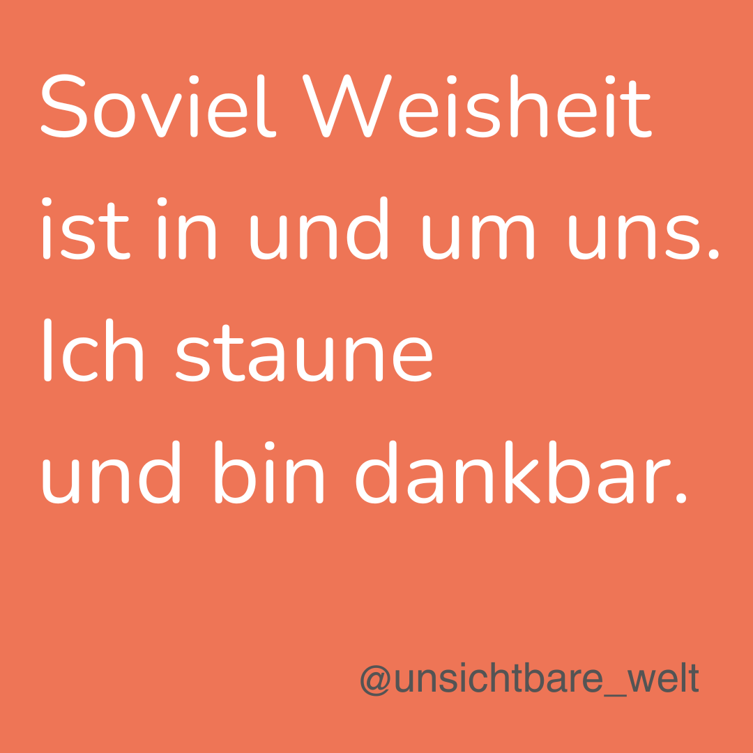 Sinnspruch Bild